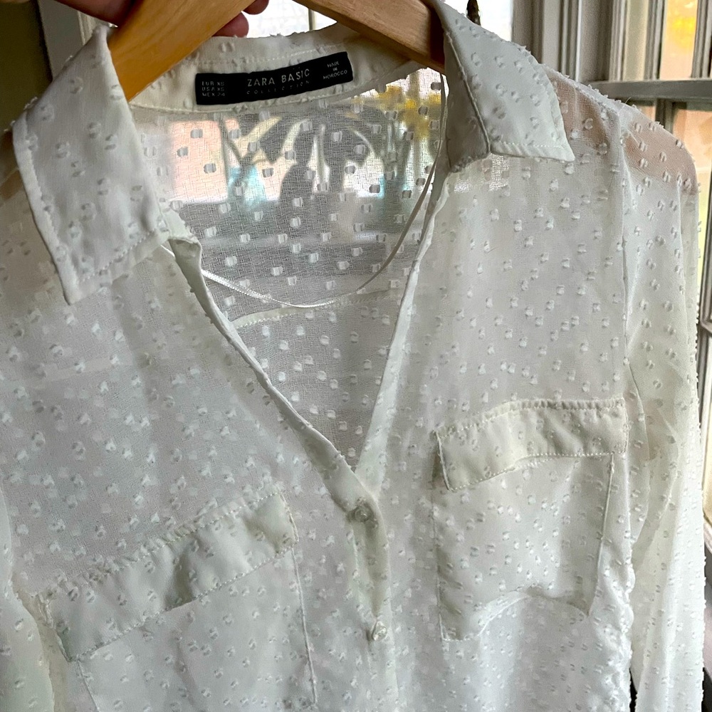 Zara Sheer Button Up Blouse, XS